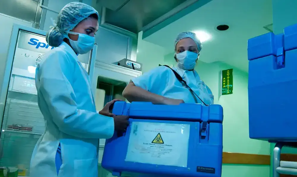 Brasil quebra recorde: 31 mil transplantes em 2025