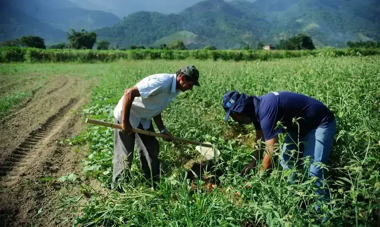 CAE aprova projeto que usa Pré-Sal para renegociar dívidas rurais
