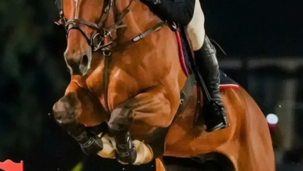 Candangão 2026 reúne elite do hipismo em Brasília