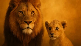 O Segredo Disney: Simba e Mufasa e Suas Expressões REAIS?