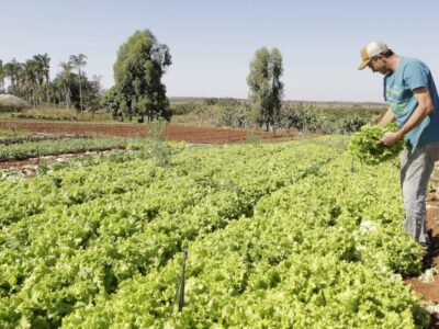 IPP sobe 2,37% em março após queda em fevereiro, diz IBGE