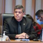 Programa Protetores Mirins: educação contra maus-tratos a animais