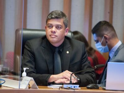 Programa Protetores Mirins: educação contra maus-tratos a animais