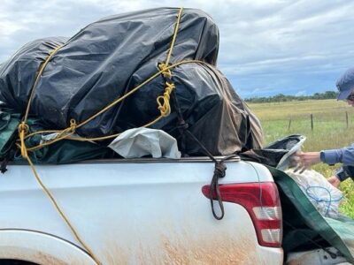Quatro presos com grude de peixe de R$ 1 milhão no AP