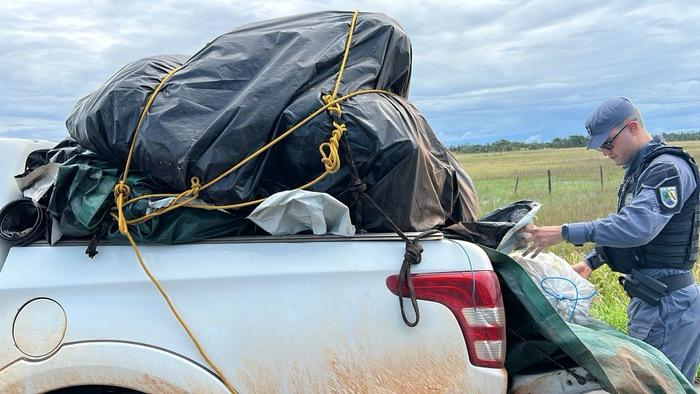 Quatro presos com grude de peixe de R$ 1 milhão no AP
