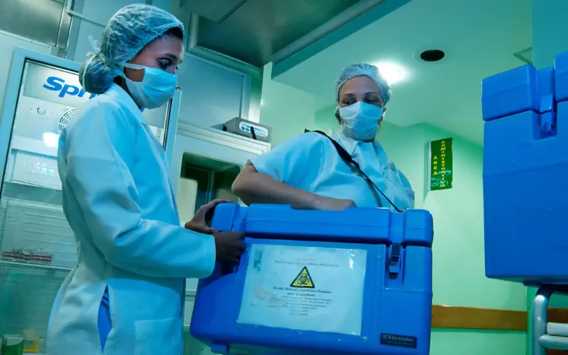 Brasil quebra recorde: 31 mil transplantes em 2025