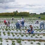Mulheres no Campo: 100 certificadas em Brazlândia