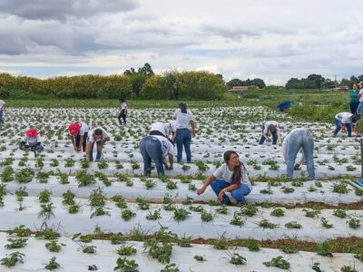 Mulheres no Campo: 100 certificadas em Brazlândia