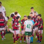 Palmeiras vence Flamengo por 3 a 0 no Maracanã e dispara no Brasileirão