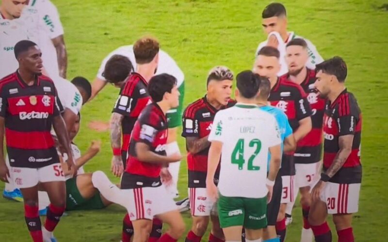 Palmeiras vence Flamengo por 3 a 0 no Maracanã e dispara no Brasileirão