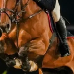 Candangão 2026 reúne elite do hipismo em Brasília