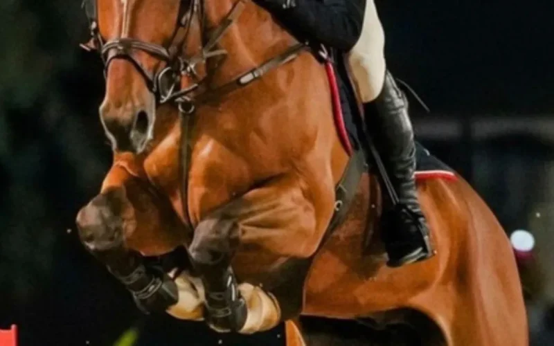Candangão 2026 reúne elite do hipismo em Brasília